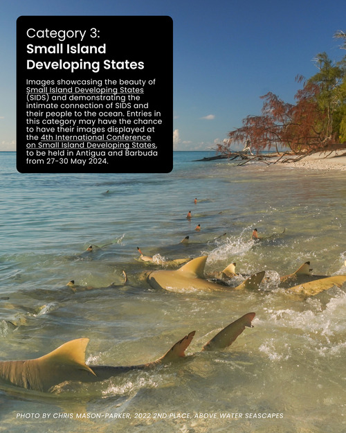 World Oceans Day